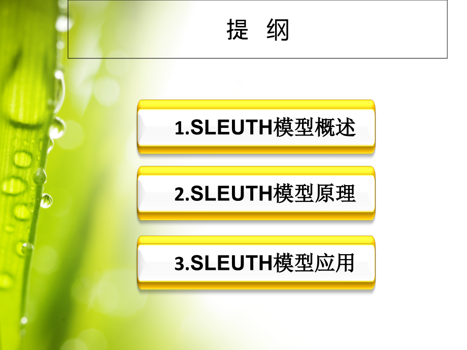 SLEUTH模型简介和应用.pptx_第2页
