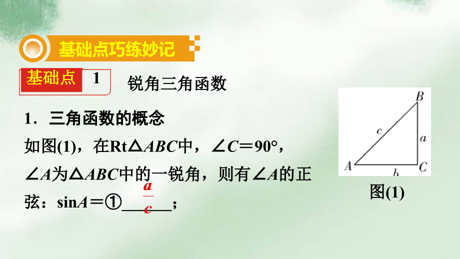 中考数学复习锐角三角函数及其应用.ppt_第2页