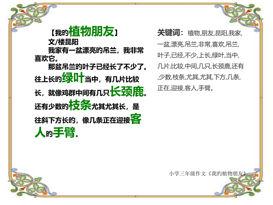 小学三年级作文《我的植物朋友》100字.pptx_第2页