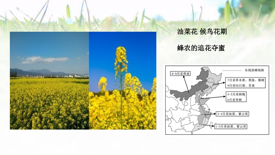 航拍中国陕西.ppt_第2页