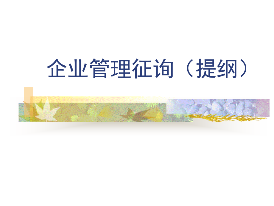 企业管理咨询培训课程.pptx_第1页