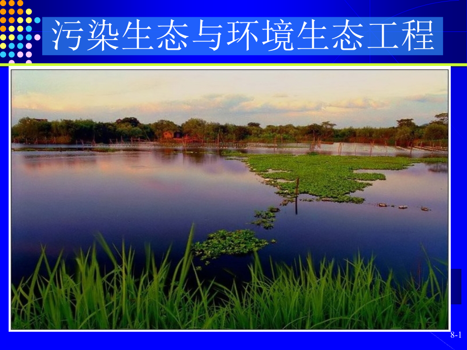 环境生态工程.pptx_第1页