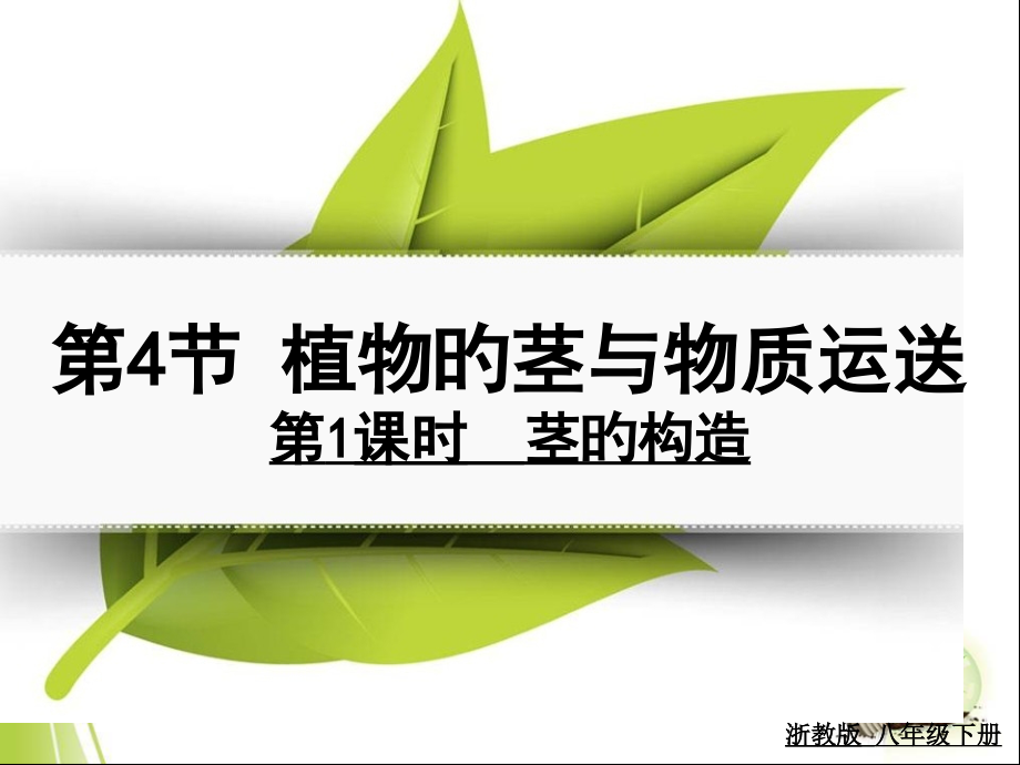 植物的茎和物质运输(时茎的结构).pptx_第1页