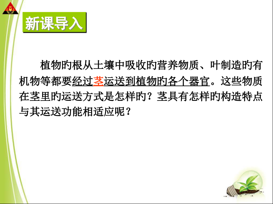 植物的茎和物质运输(时茎的结构).pptx_第2页
