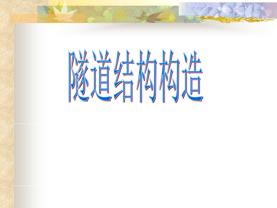 隧道结构构造.pptx_第1页