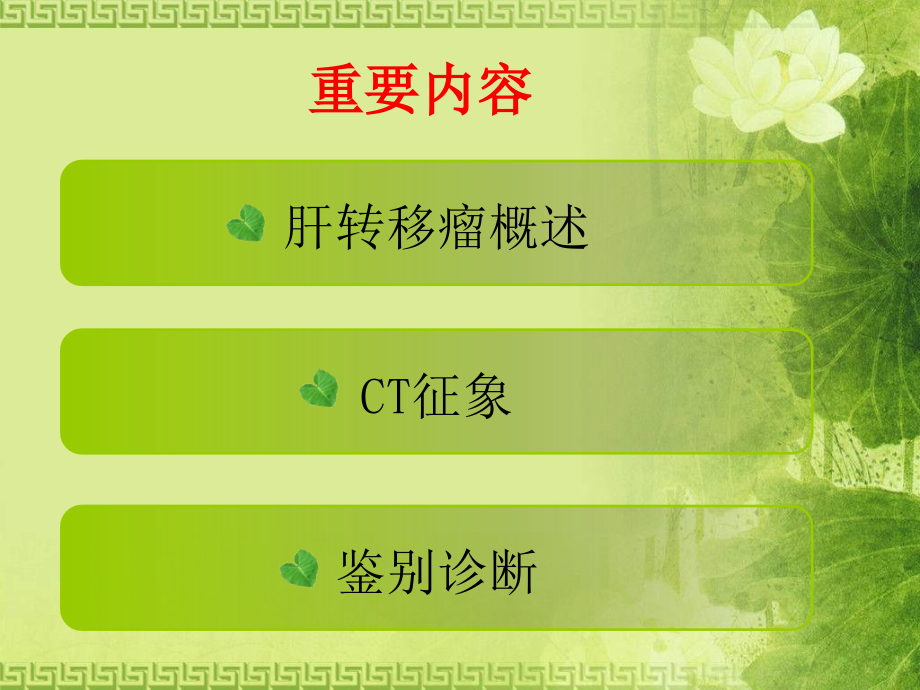 肝脏转移癌的CT诊断与鉴别诊断.ppt_第2页