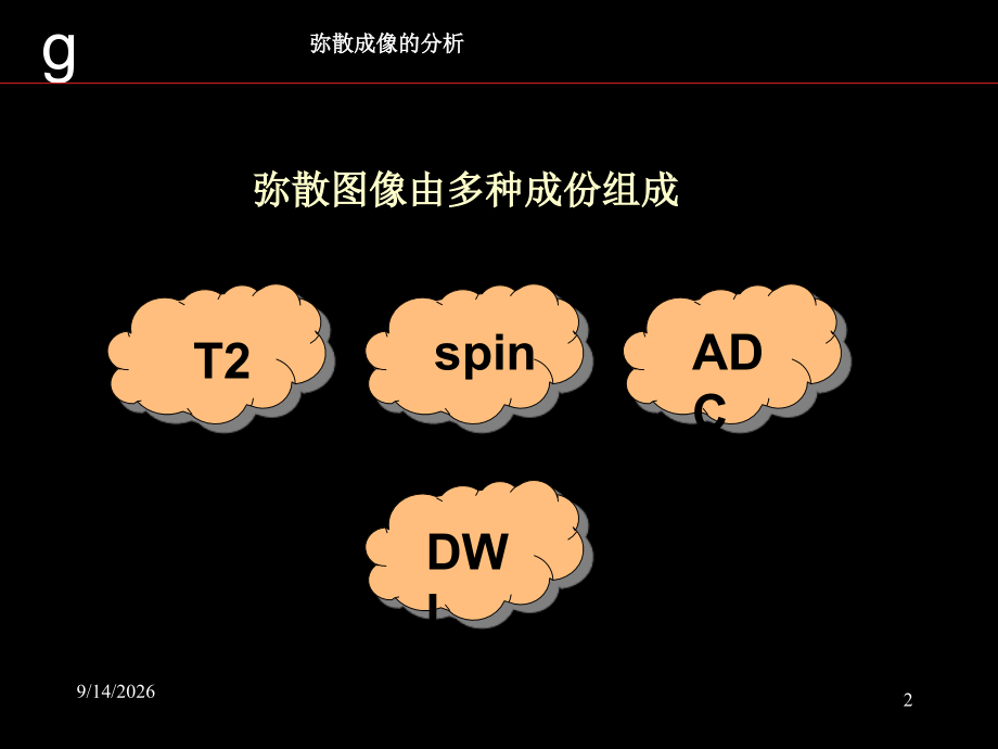 弥散图像分析GE专题.ppt_第2页