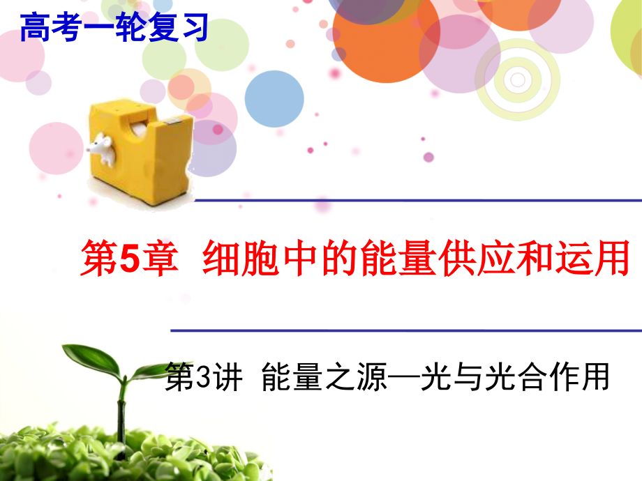 光合作用和呼吸作用综合问题分析.ppt_第1页