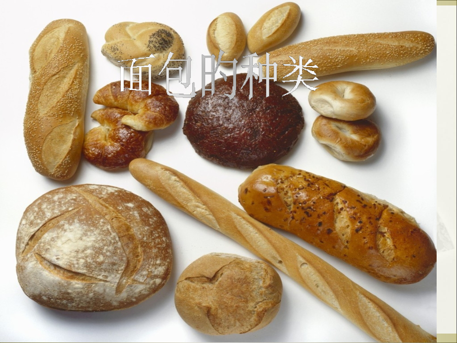 新面包的分类.pptx_第1页