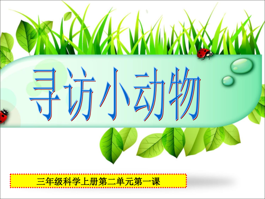 教科版小学科学《寻访小动物》.pptx_第1页
