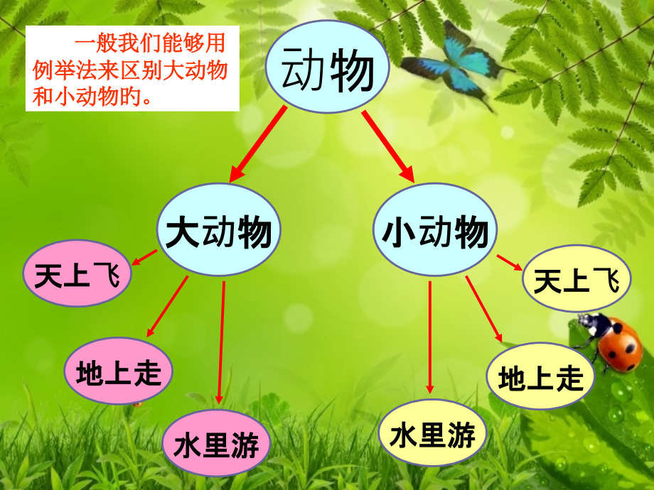 教科版小学科学《寻访小动物》.pptx_第2页