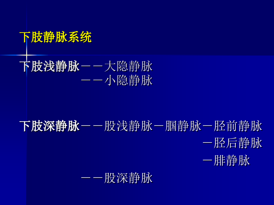 下肢静脉的超声检查培训.ppt_第2页