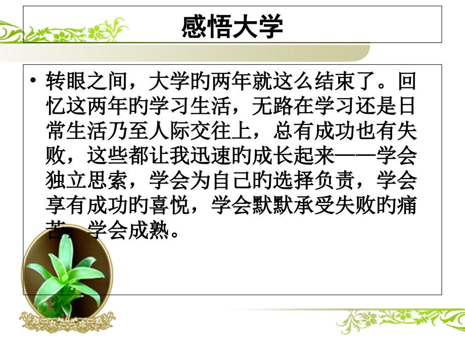 3分钟德育答辩.pptx_第2页