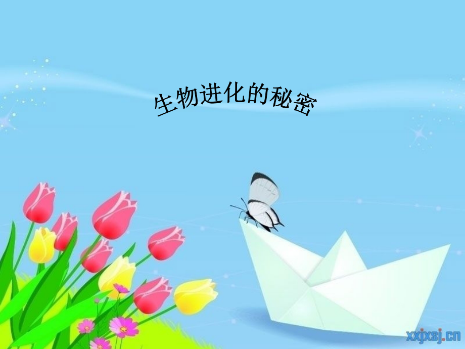 《生物进化的秘密》.ppt_第2页