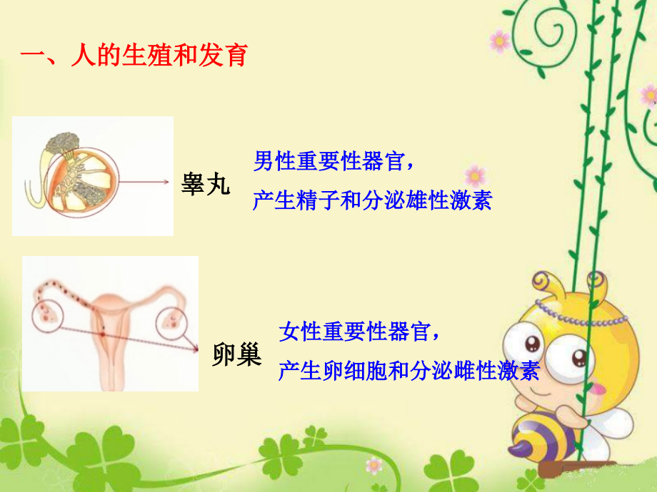 生物的生殖发育复习.pptx_第2页