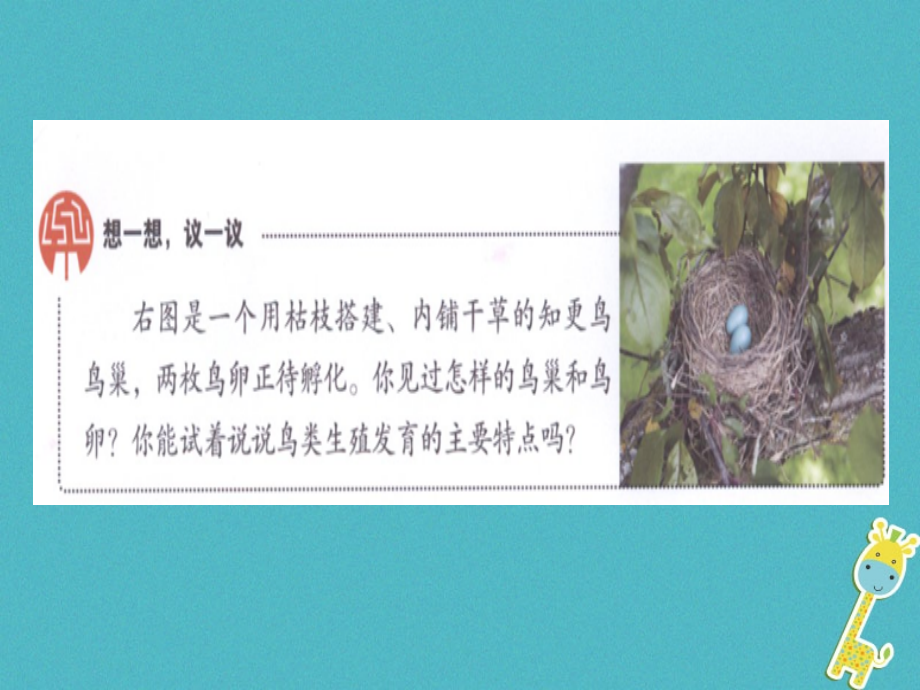八年级生物下册7.1.4鸟的生殖和发育讲义.ppt_第2页