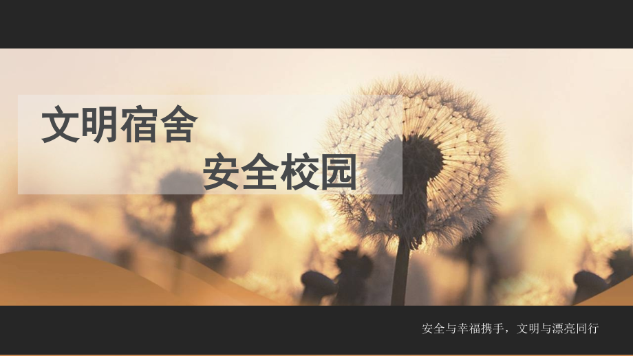 宿舍文明安全.pptx_第1页