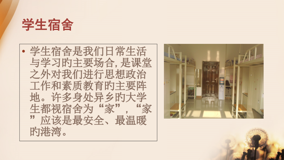 宿舍文明安全.pptx_第2页