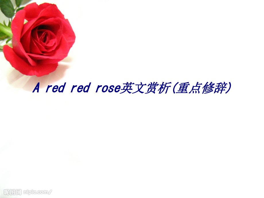 A-red-red-rose英文赏析(重点修辞).ppt_第1页
