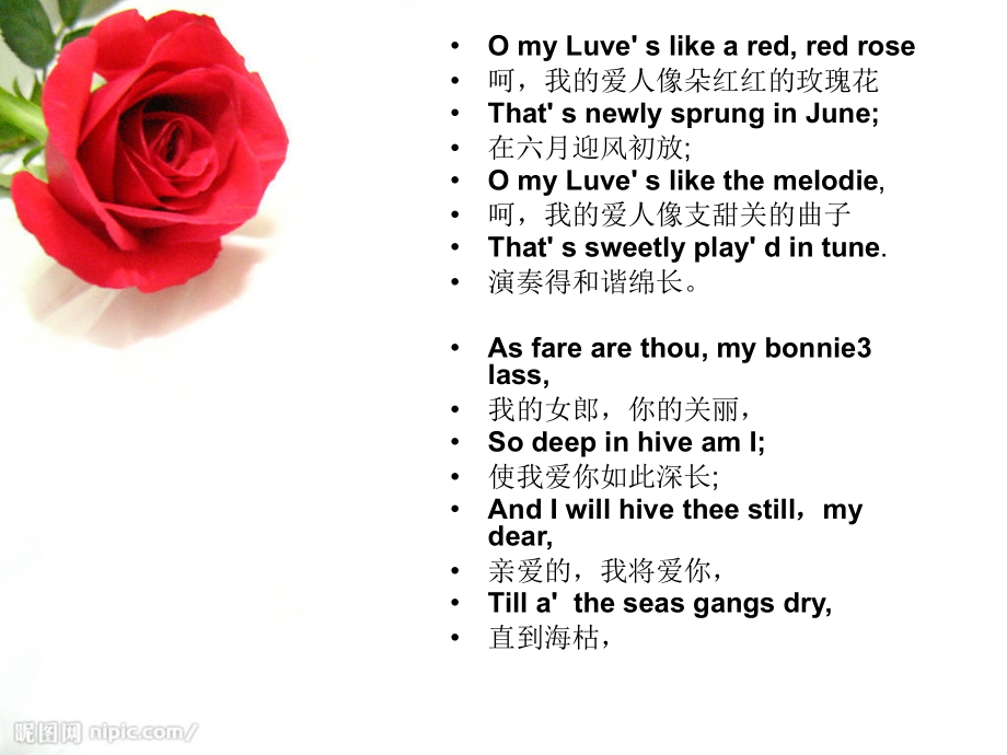 A-red-red-rose英文赏析(重点修辞).ppt_第2页