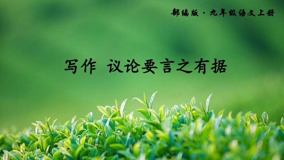 写作议论要言之有据.ppt_第1页