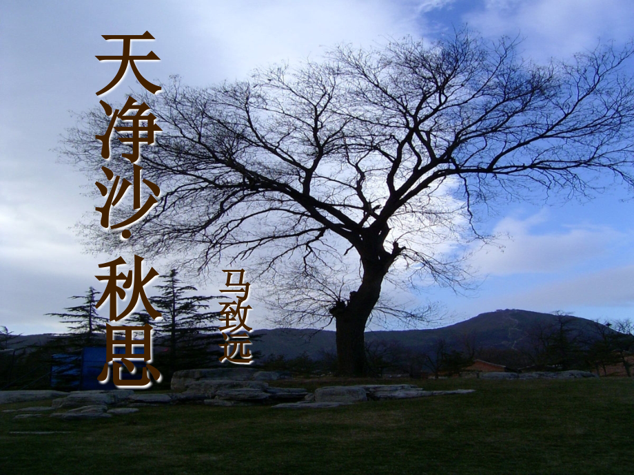 天净沙·秋思复习.ppt_第1页