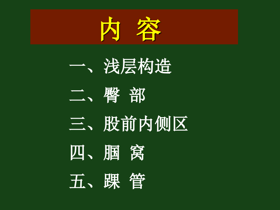 局部解剖下肢.ppt_第2页