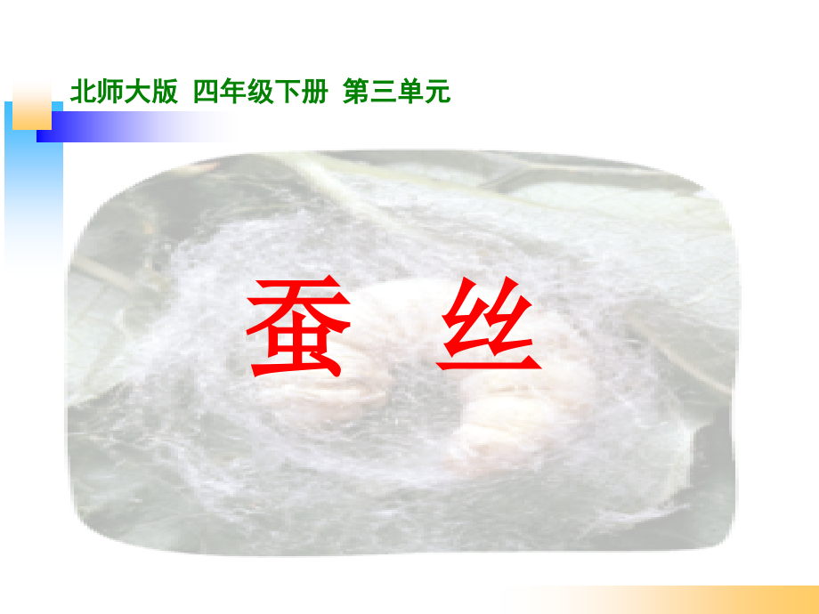 北师大版四年级数学下册《蚕丝》.pptx_第1页