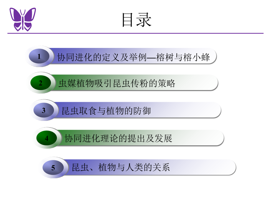 昆虫和植物协同进化.ppt_第2页