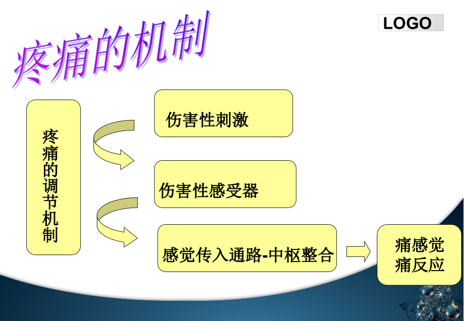 疼痛的机制专题知识宣教.ppt_第2页
