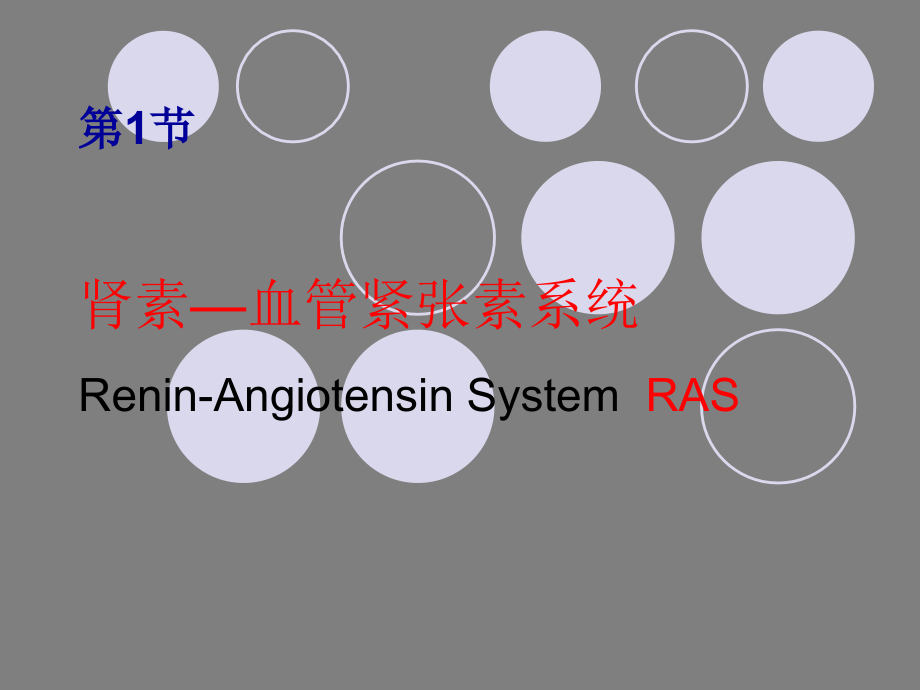 肾素血管紧张素系统抑制药.ppt_第2页
