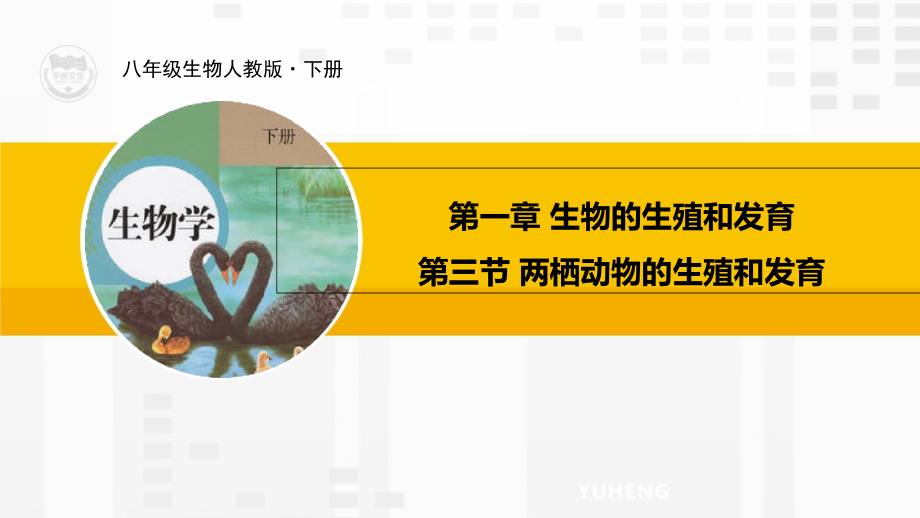 八年级生物下册人教版两栖动物的生殖和发育.ppt_第1页