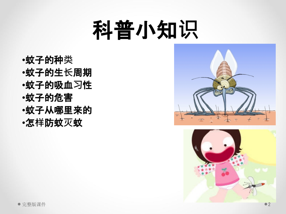 主题班会防蚊灭蚊.ppt_第2页