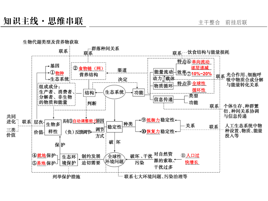 生态系统二轮专题复习.ppt_第2页