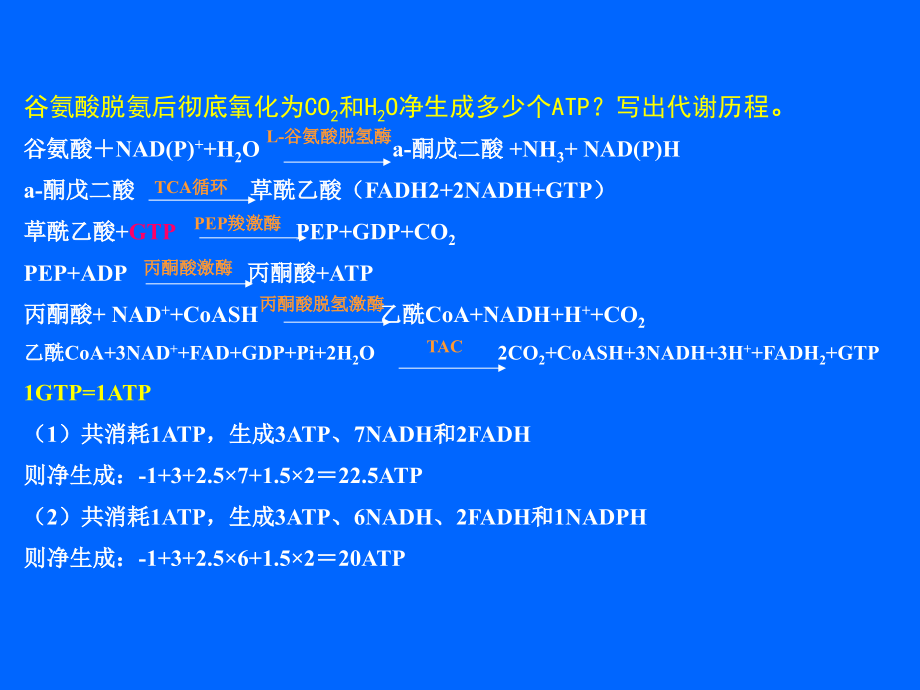生物化学ATP的计算.pptx_第1页