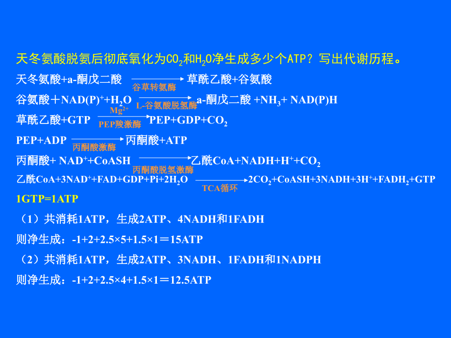 生物化学ATP的计算.pptx_第2页