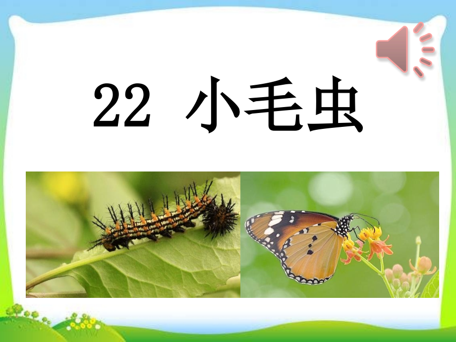 部编版二年级语文下册小毛虫.ppt_第1页