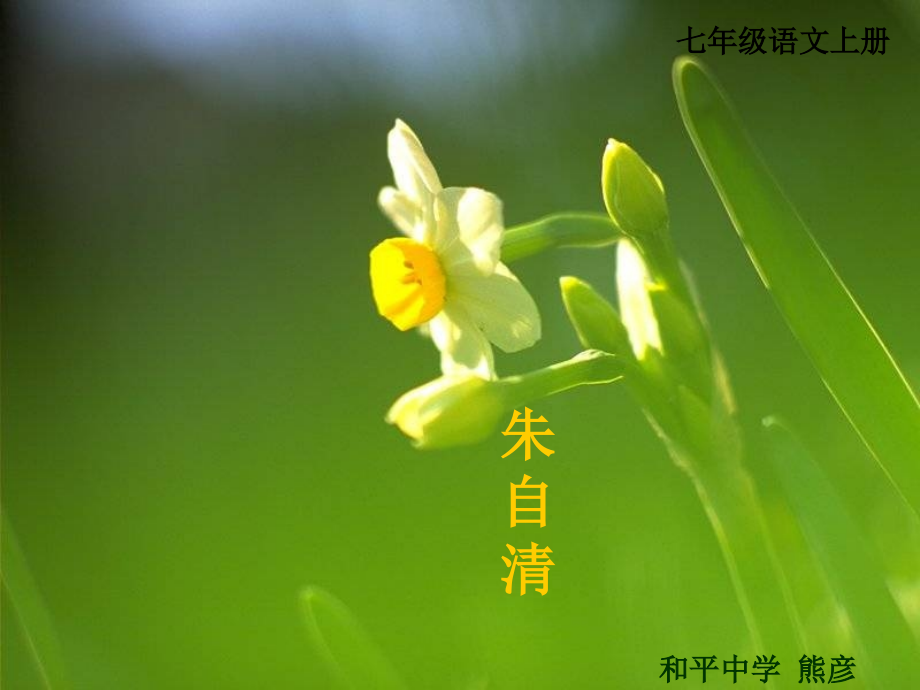 七年级语文上册春.ppt_第1页