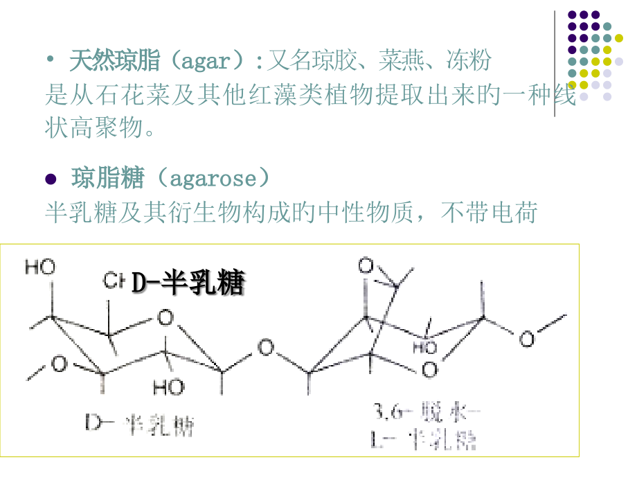 琼脂糖凝胶电泳详细过程和步骤.pptx_第2页