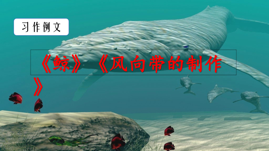 部编版五年级语文上册习作例文鲸风向袋的制作.pptx_第2页