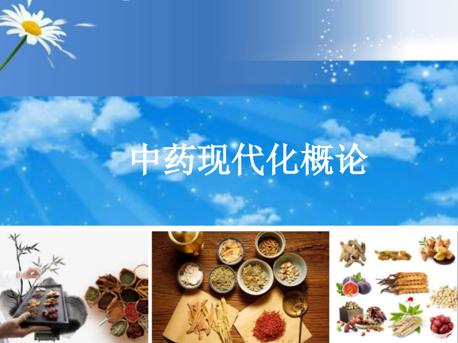 中药现代化概论.ppt_第1页