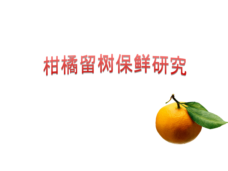 柑橘留树保鲜研究.pptx_第1页