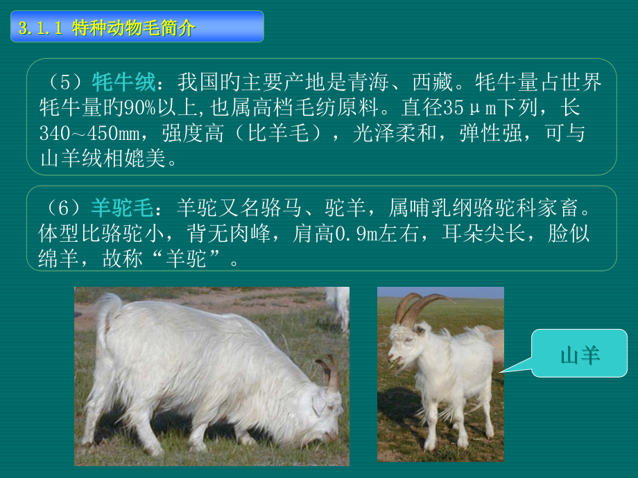 东华大学课程纺织材料毛纤维.pptx_第2页