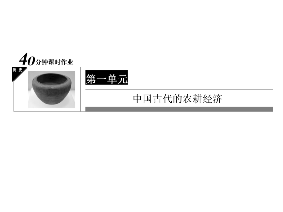 农耕时代的商业和城市练习.pptx_第1页
