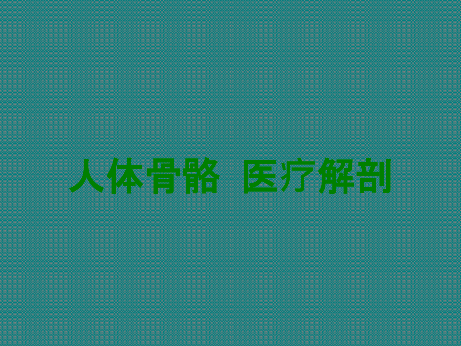 人体骨骼-医疗解剖.ppt_第1页