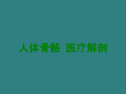 人体骨骼-医疗解剖.ppt