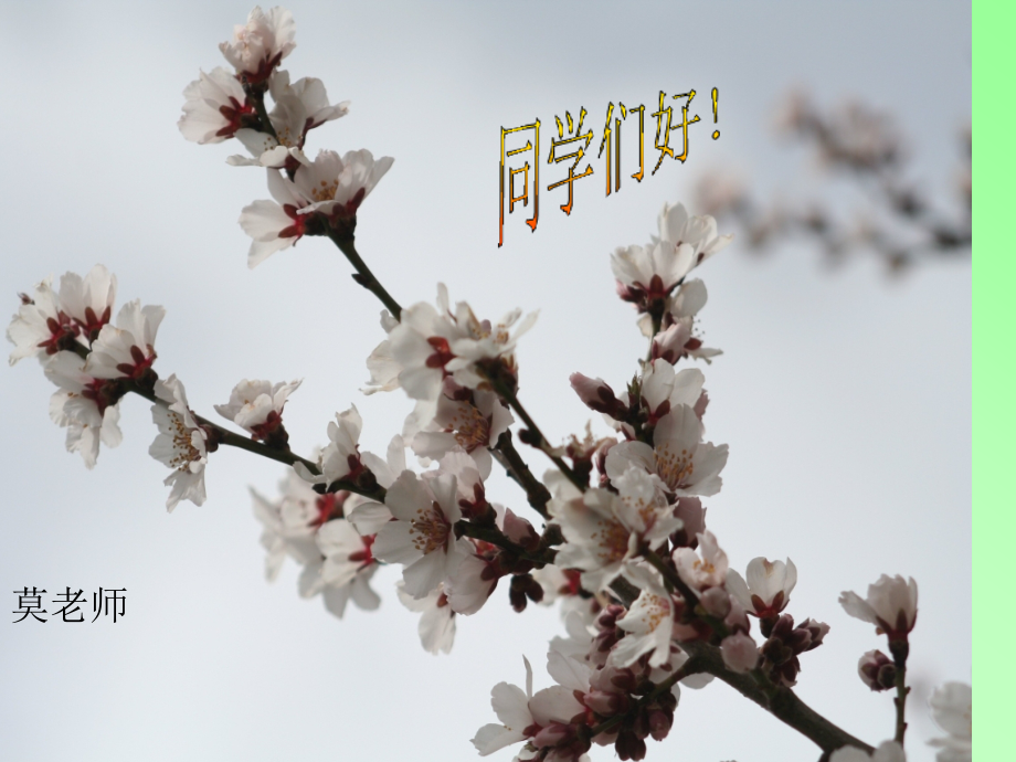 CAD绘图步骤.pptx_第1页