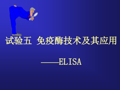 ELISA实验专业知识课件.pptx