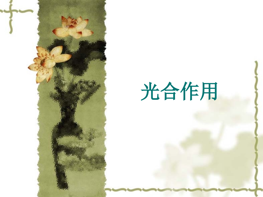 光合作用讲稿.pptx_第1页