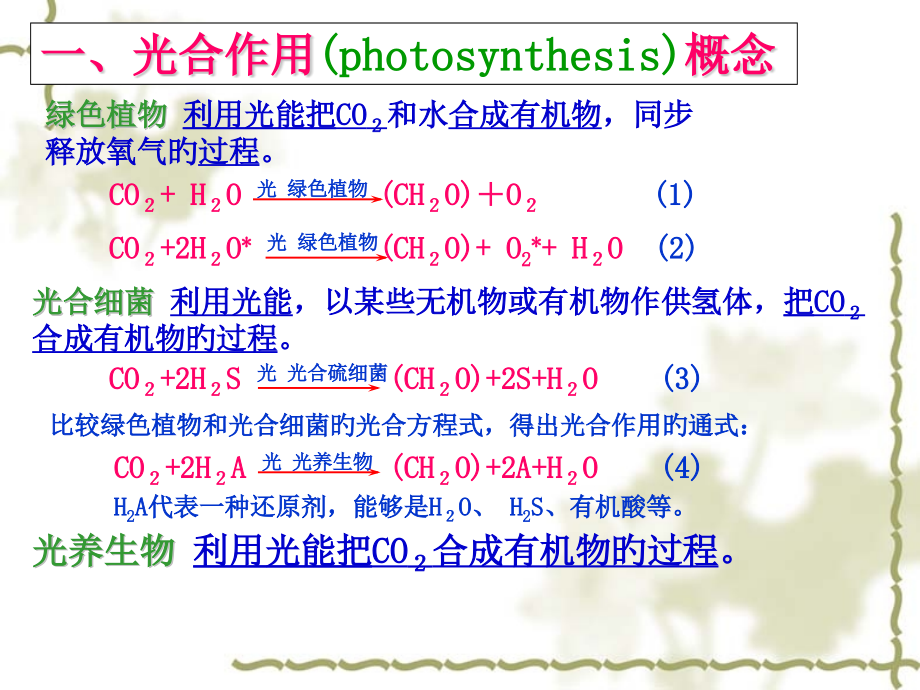 光合作用讲稿.pptx_第2页